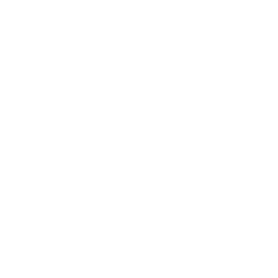 script